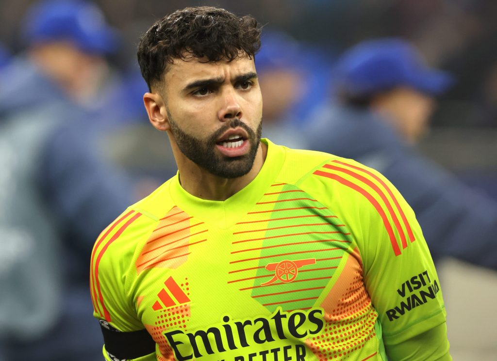 David Raya Player Profile